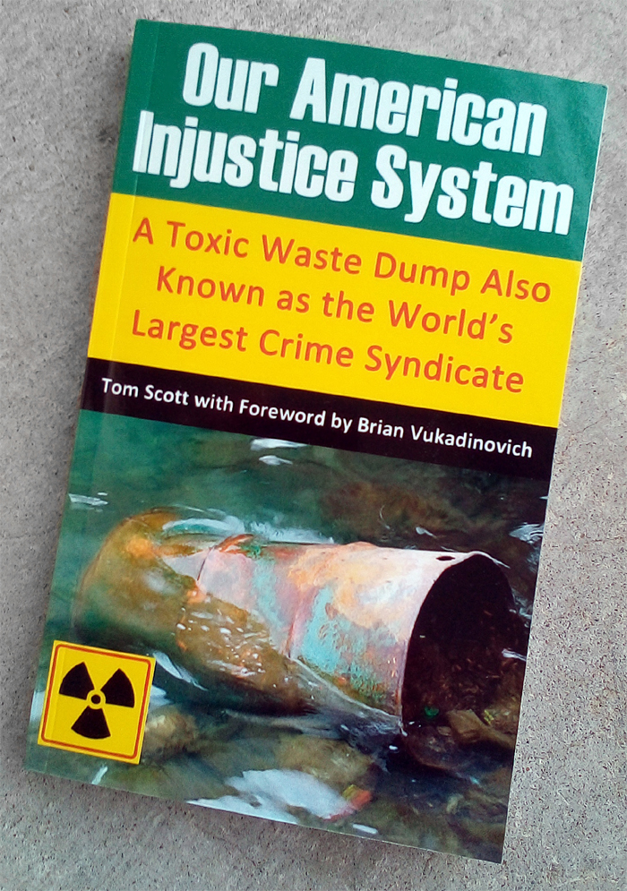 Our American Injustice System paperback